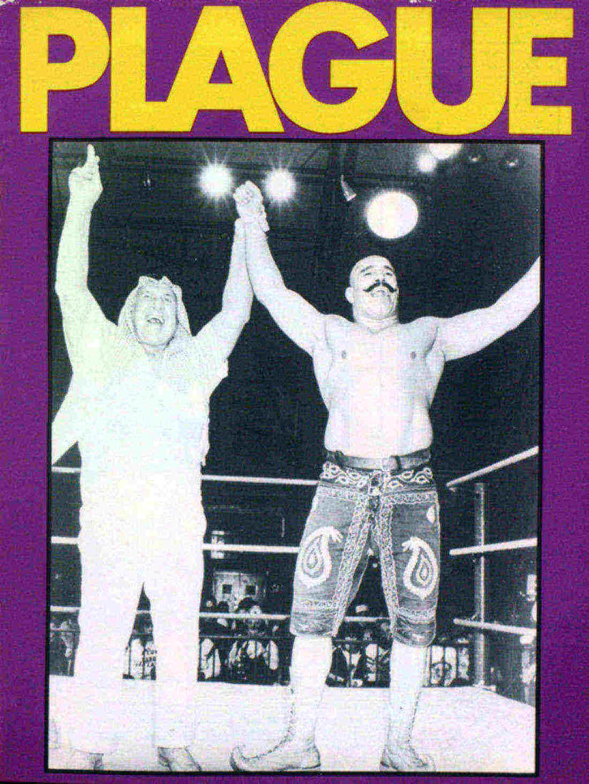 cover for Fall 1986 issue