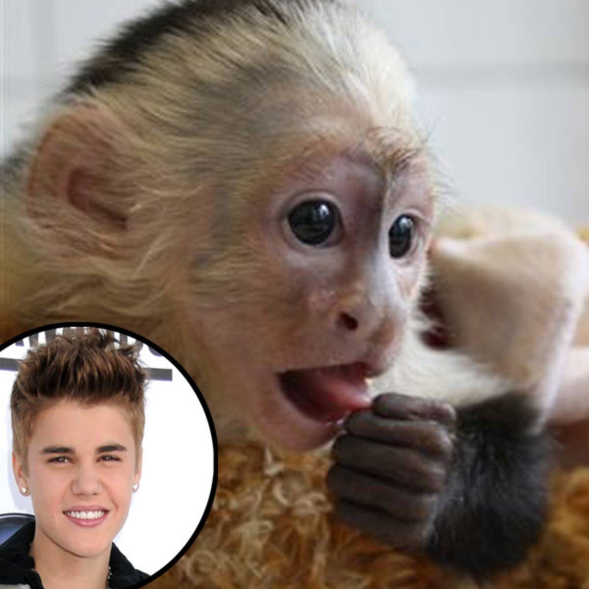 Justin Bieber (deceased)